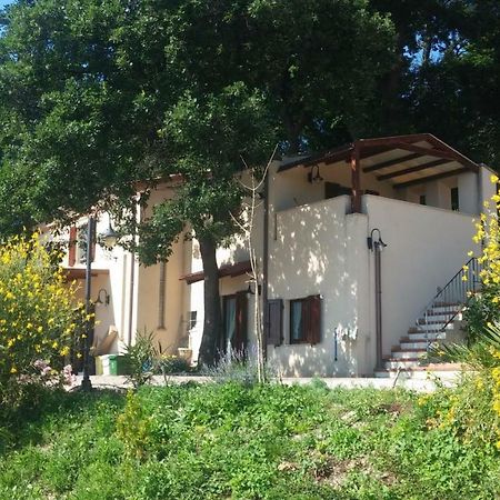 アンコーナ Le Querce Bed & Breakfast エクステリア 写真