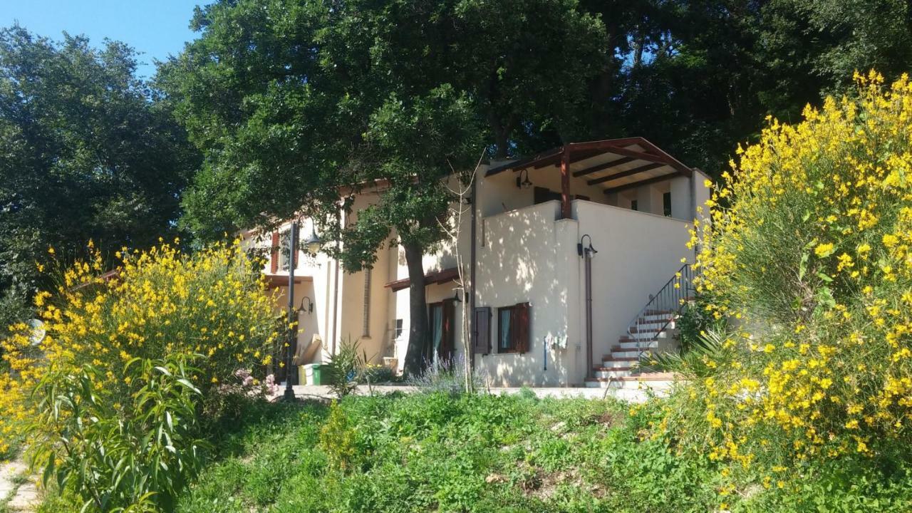 アンコーナ Le Querce Bed & Breakfast エクステリア 写真